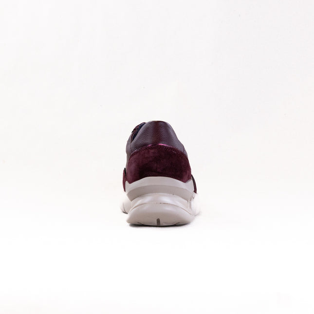 Callaghan Tuna Aria (Women's) - Prugna/Burde