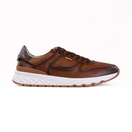 Pikolinos Aranda M8R-6239C1 (Men's) - Cuero