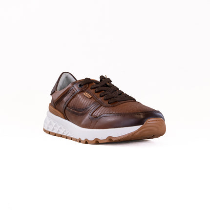 Pikolinos Aranda M8R-6239C1 (Men's) - Cuero