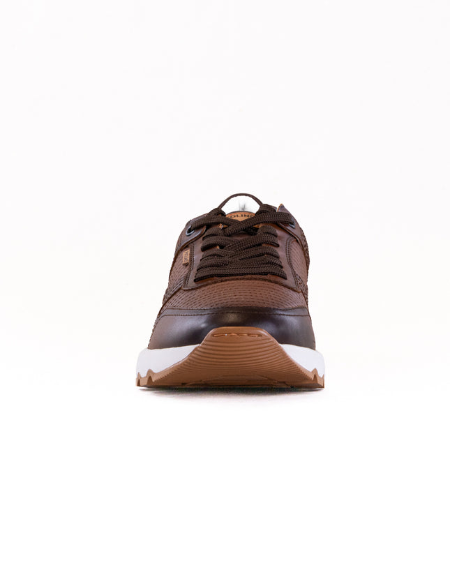 Pikolinos Aranda M8R-6239C1 (Men's) - Cuero