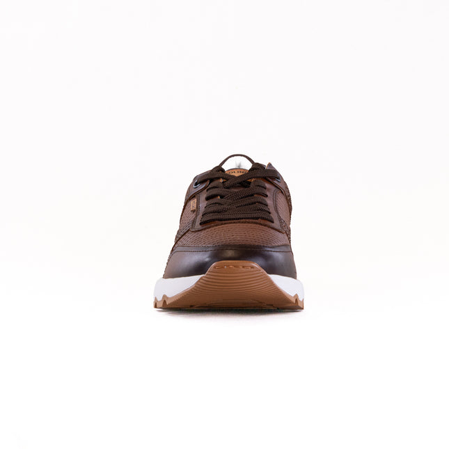Pikolinos Aranda M8R-6239C1 (Men's) - Cuero