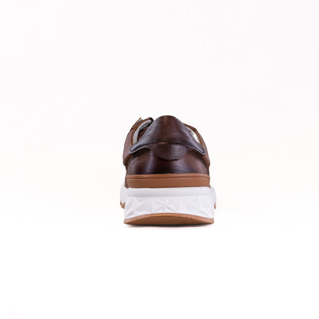 Pikolinos Aranda M8R-6239C1 (Men's) - Cuero