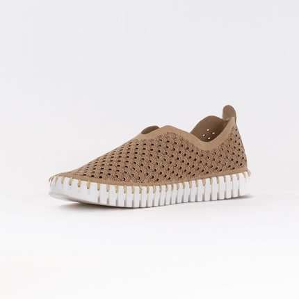 Ilse Jacobsen TULIP139 (Women's) - Latte