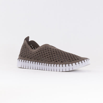 Ilse Jacobsen TULIP139 (Women's) - Falcon