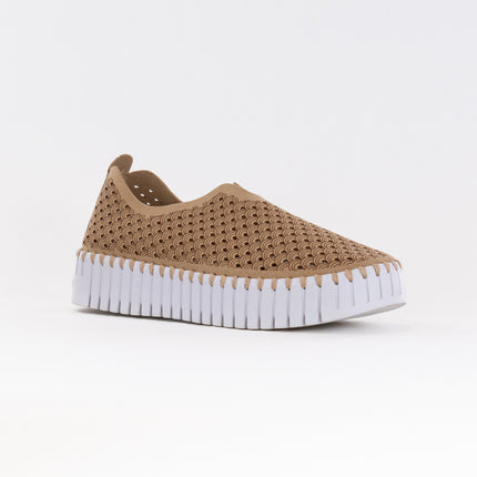 Ilse Jacobsen TULIP3373 Platuea (Women's) - Latte