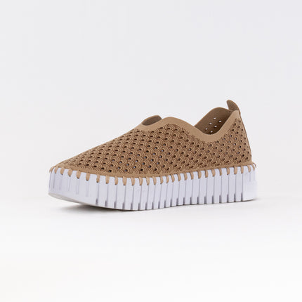 Ilse Jacobsen TULIP3373 Platuea (Women's) - Latte