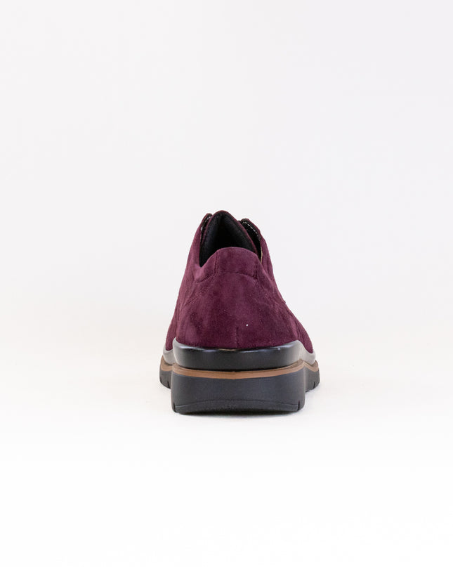 Fidelio Multistretch Gallery (Women's) - Vino Amalfi