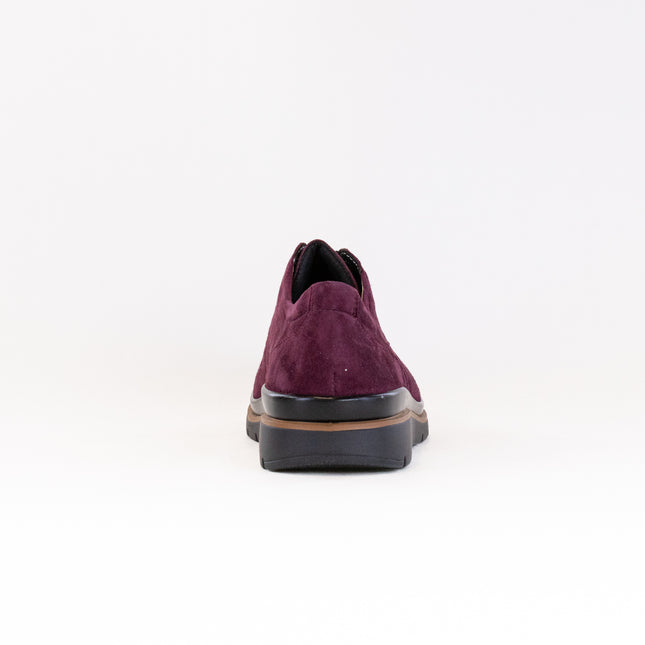 Fidelio Multistretch Gallery (Women's) - Vino Amalfi