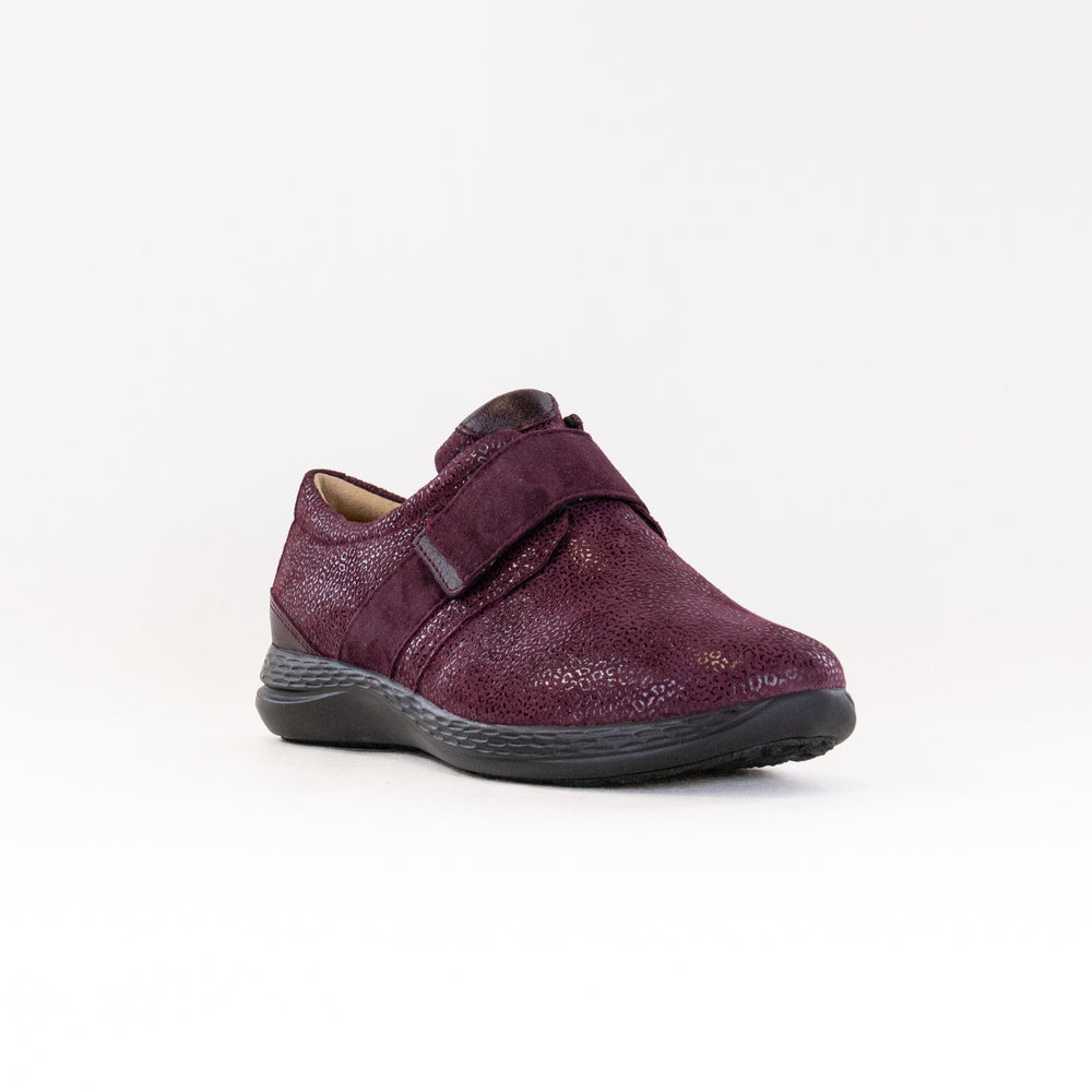 Fidelio Multistretch Hi Energy (Women's) - Bordo Theo