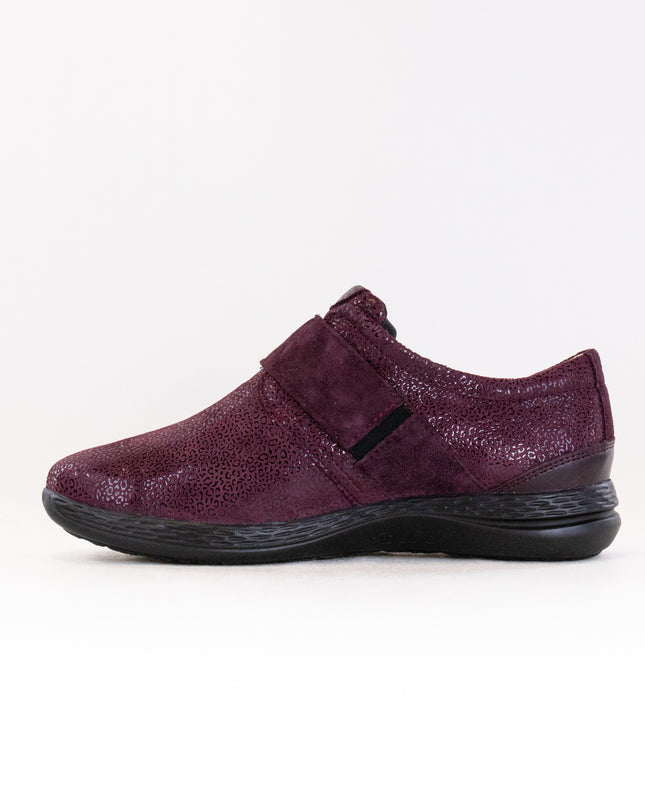 Fidelio Multistretch Hi Energy (Women's) - Bordo Theo