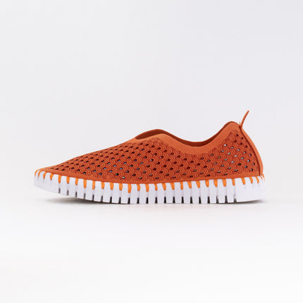 Ilse Jacobsen TULIP139 (Women's) - Camelia
