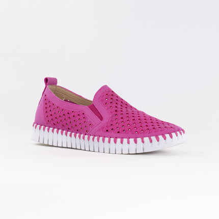 Ilse Jacobsen TULIP140WOM (Women's) - Rose Violet