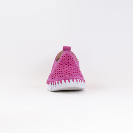 Ilse Jacobsen TULIP140WOM (Women's) - Rose Violet