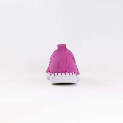 Ilse Jacobsen TULIP140WOM (Women's) - Rose Violet