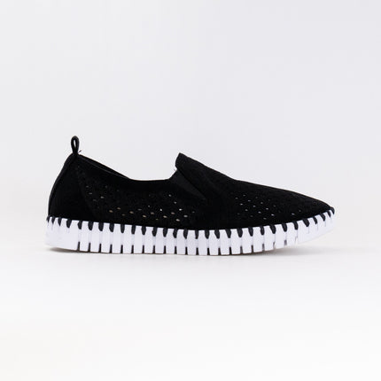Ilse Jacobsen TULIP140WOM (Women's) - Black