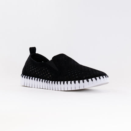 Ilse Jacobsen TULIP140WOM (Women's) - Black