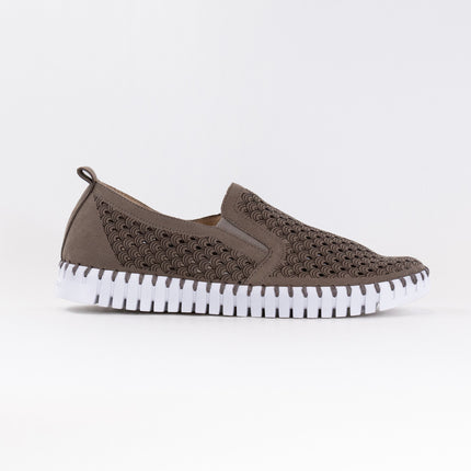 Ilse Jacobsen TULIP140 (Women's) - Falcon