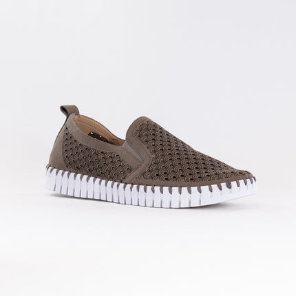 Ilse Jacobsen TULIP140 (Women's) - Falcon