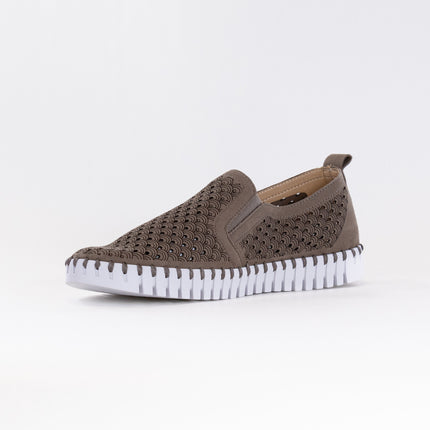 Ilse Jacobsen TULIP140 (Women's) - Falcon