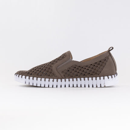Ilse Jacobsen TULIP140 (Women's) - Falcon