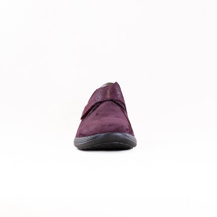 Fidelio Hi Energy Masha (Women's) - Prugna Nubi/Float