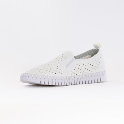 Ilse Jacobsen TULIP140 (Women's) - White