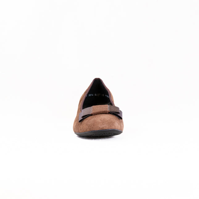 Ara Graz Highsoft (Women's) - Mocca