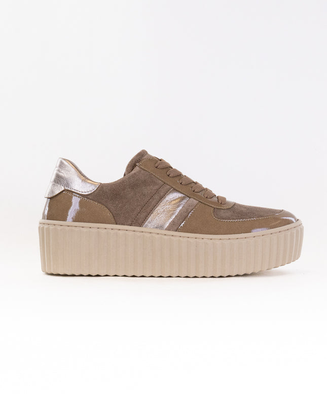 Gabor 53.203.14 Sneaker (Women's) - Taupe Combi