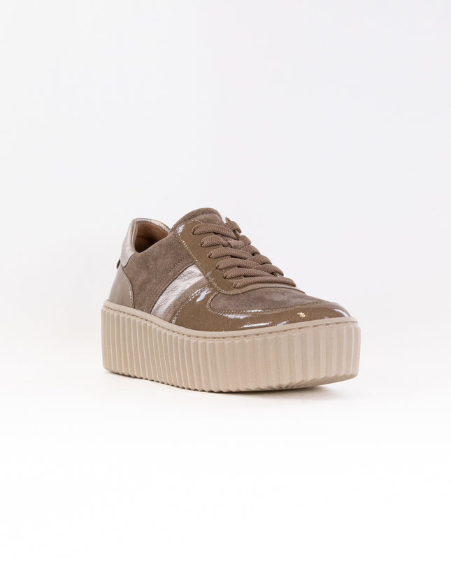 Gabor 53.203.14 Sneaker (Women's) - Taupe Combi