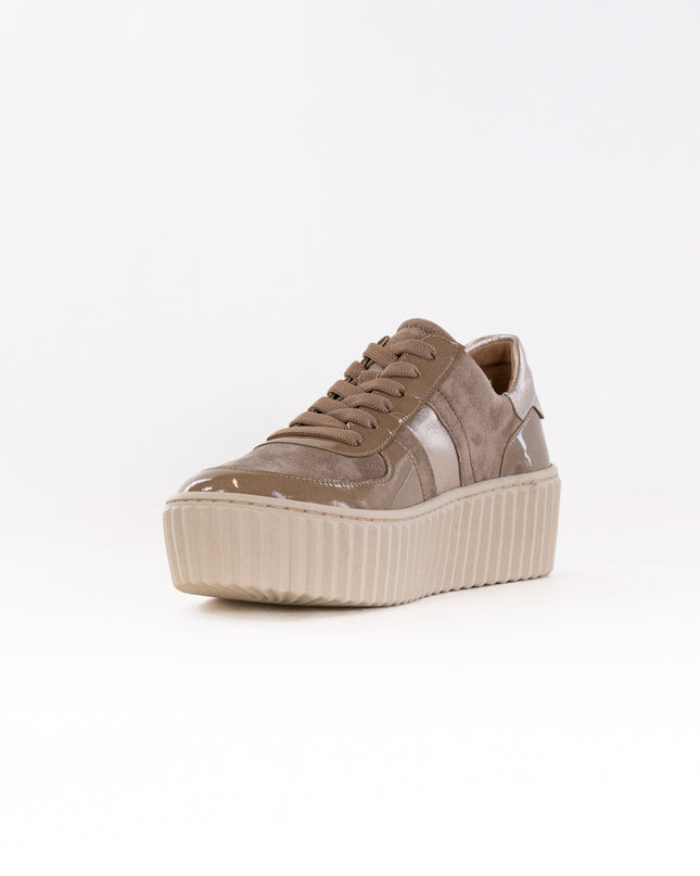 Gabor 53.203.14 Sneaker (Women's) - Taupe Combi