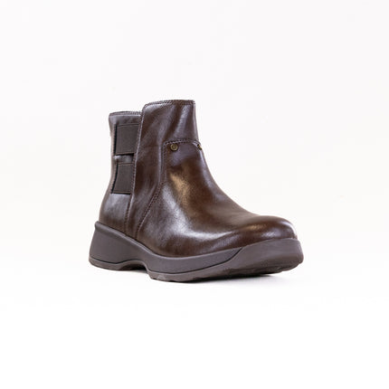 Alegria Jordyn (Women's) - Dark Chocolate