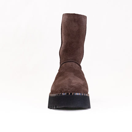 UGG Uptowner Short Boot (Women's) - Burnt Cedar