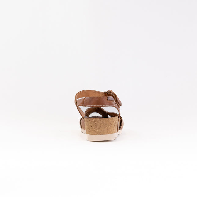 Pikolino Mahon W9E-0682 (Women's) - Brandy