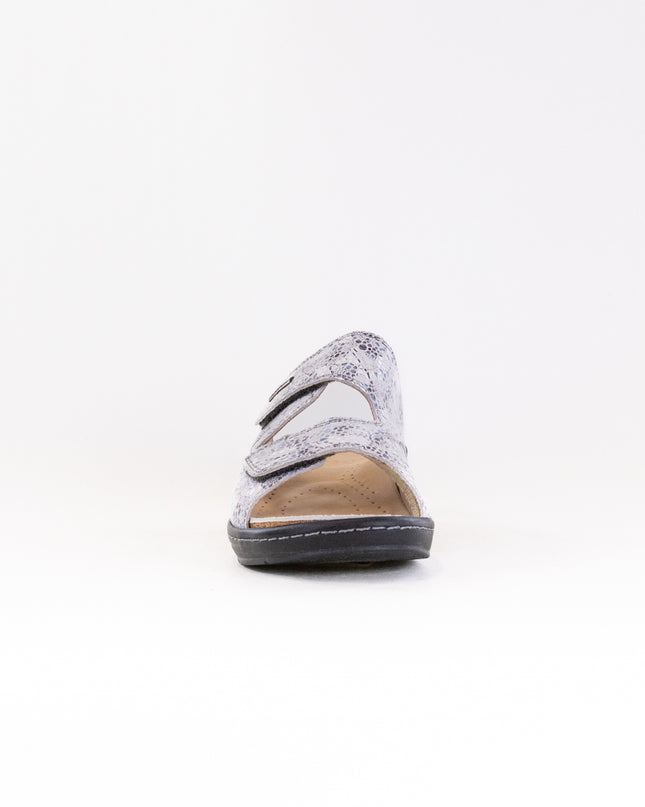 Fidelio Hallux 434113 (Women's) - Toga Multi Leather