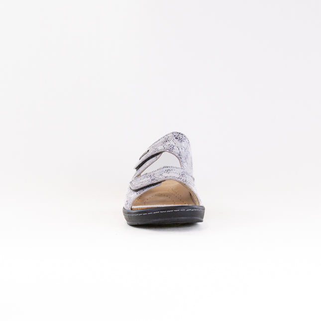 Fidelio Hallux 434113 (Women's) - Toga Multi Leather