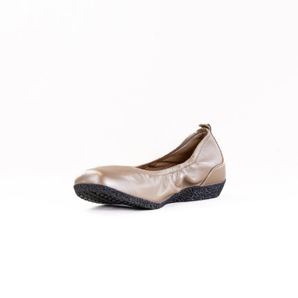 Taos Chit Chat (Women's) - Champagne