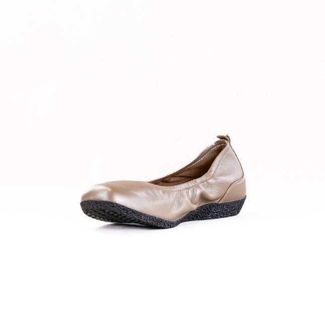 Taos Chit Chat (Women's) - Champagne