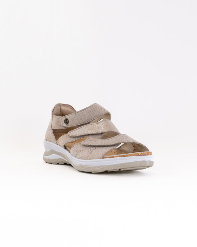 Fidelio Hilani (Women's) - Nocciola Combi