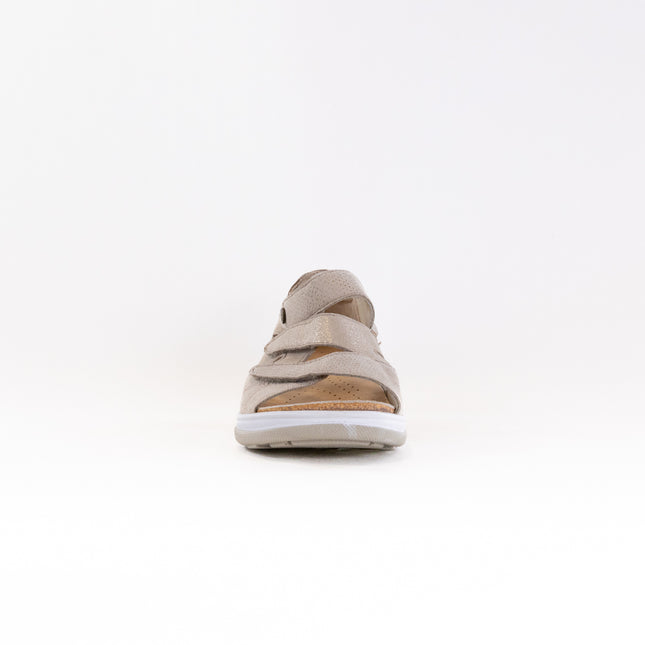 Fidelio Hilani (Women's) - Nocciola Combi