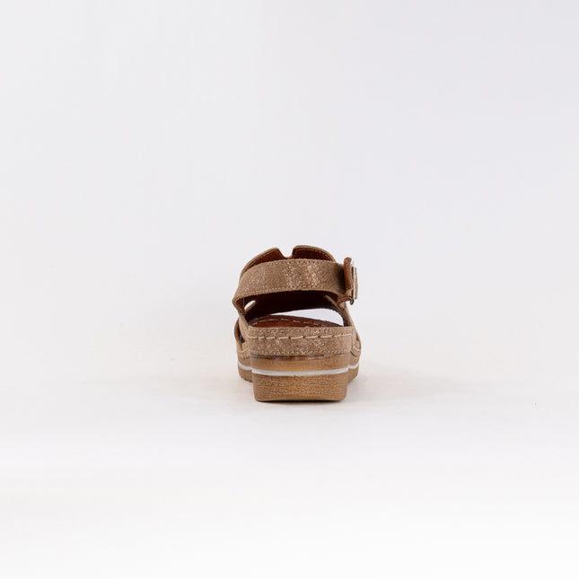 V Italia 967-25 (Women's) - Camel Metallic Leather