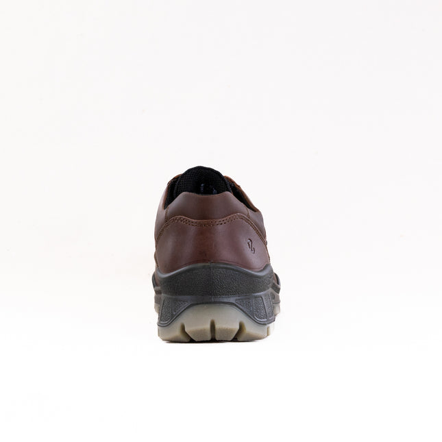 Ecco Track 25 Gore-Tex Low-Cut (Men's) - Bison/Bison