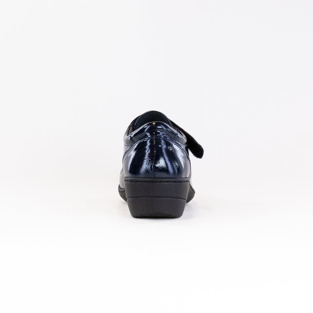 V-Italia Vital Arch 1145 (Women's) - Navy