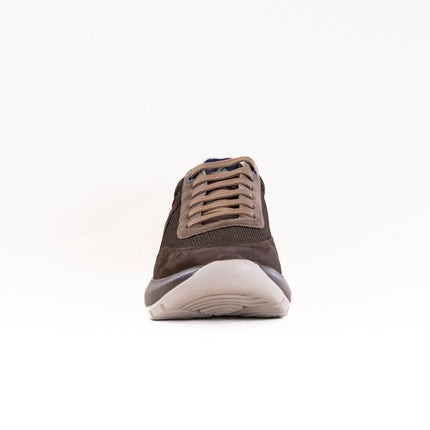 Callaghan Tuna Algoritmo (Men's) - Testa