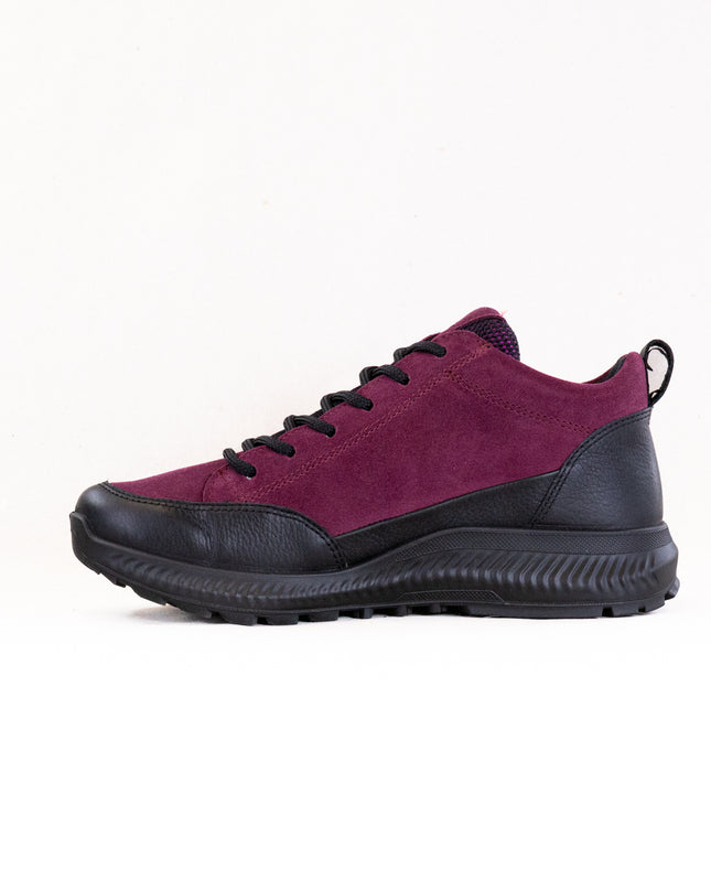 Ara Highland: GORE-TEX® Hiker Bootie (Women's) - Black/Berry