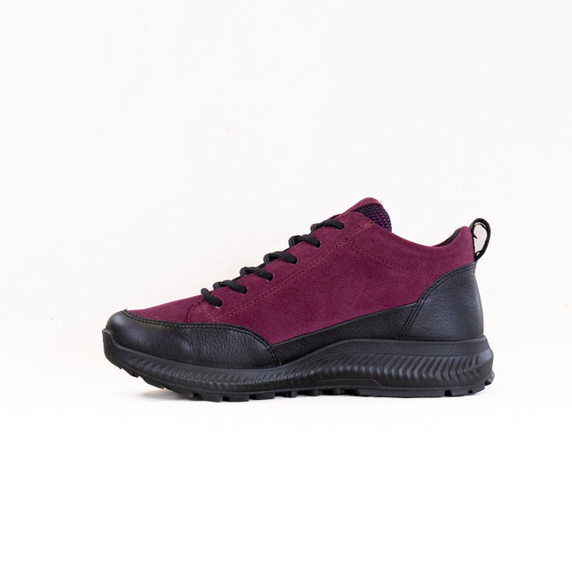 Ara Highland: GORE-TEX® Hiker Bootie (Women's) - Black/Berry