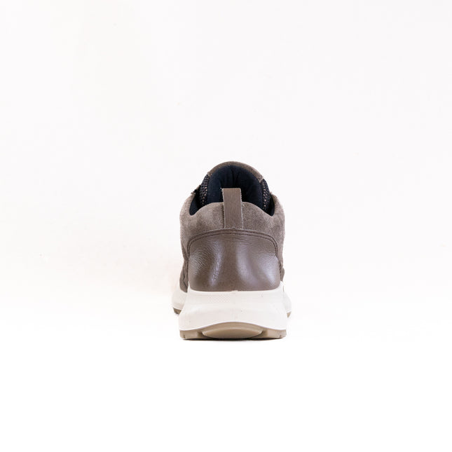 Ara Highland: GORE-TEX® Hiker Bootie (Women's) - Dark Taupe