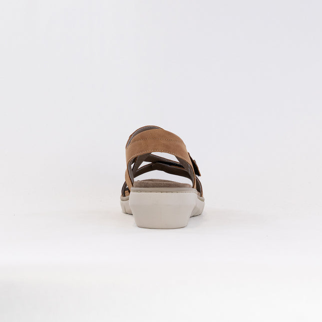 Wolky Ikaria (Women's) - Tan