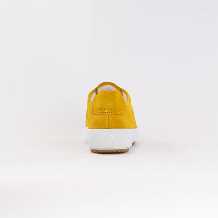 Ara Alexandria Lace Up Sneaker (Women's) - Yellow Suede