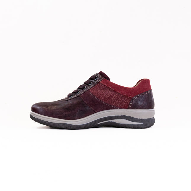 Fidelio Multistretch Haley (Women's) - Vino