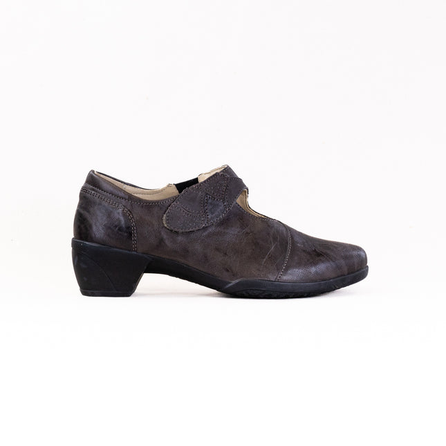 Fidelio Hallux Grace 265002 (Women's) - Fossil